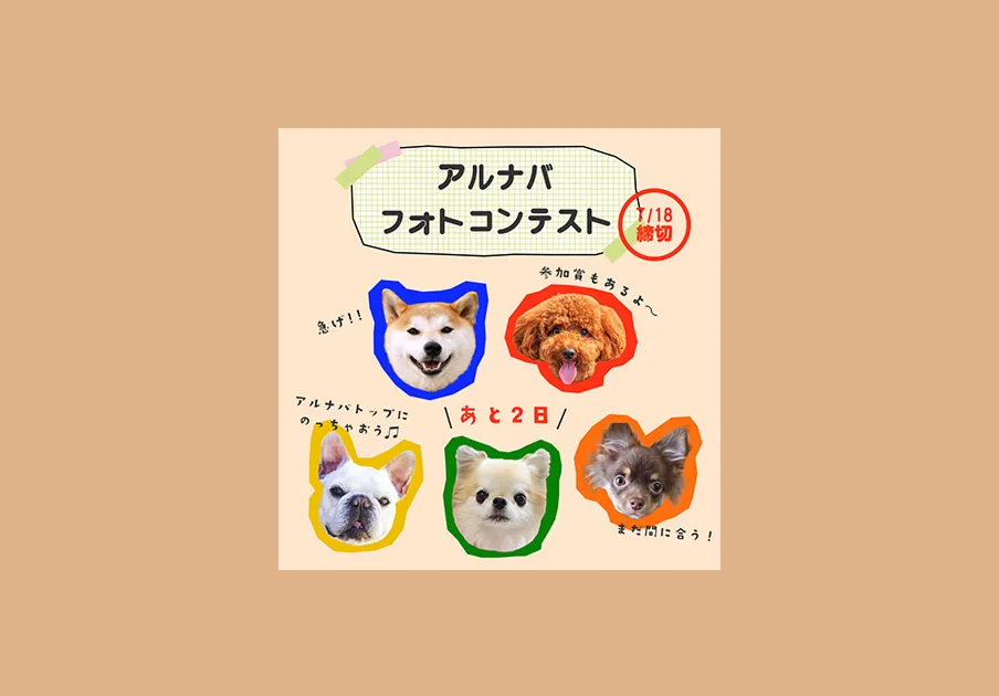 フォトコンテストバナー